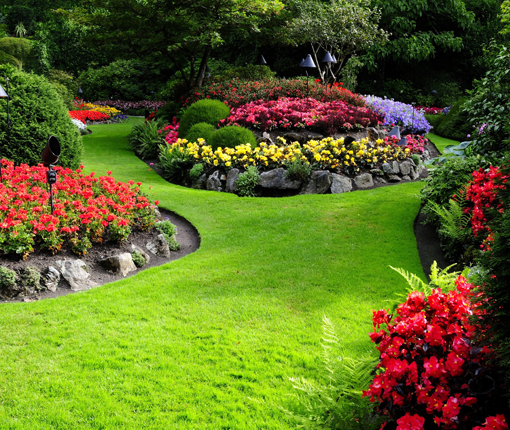 Landscape garden shop