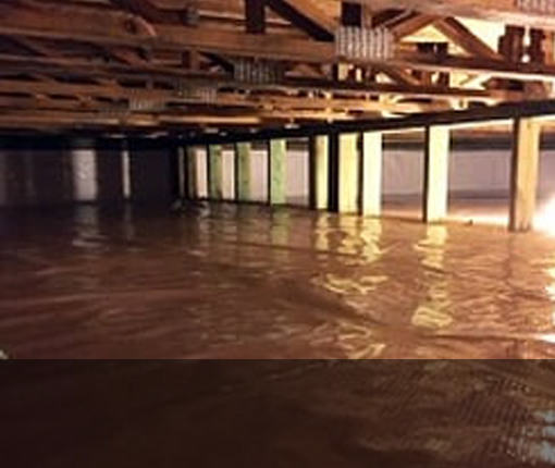 Basement / Crawlspace