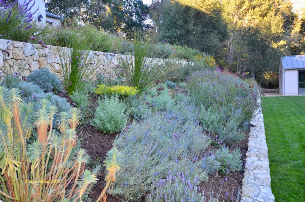 Contemporary terraced garden with stone walls Image of stone walled terraced garden