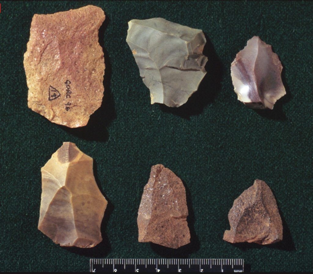 basic homeowner tools and materials of Homo Habilis Image of stone tools used by Homo Habilis