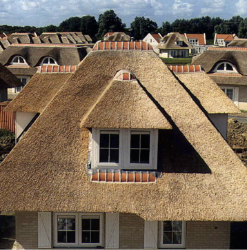 thatch roofing