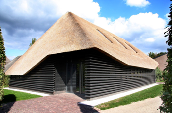 thatch roofing