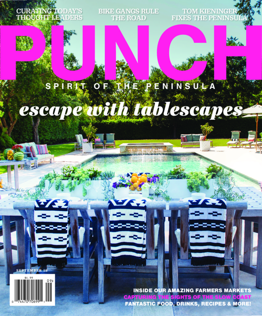 Image of magazine cover named PUNCH