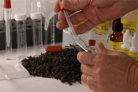 Why you should test your soil