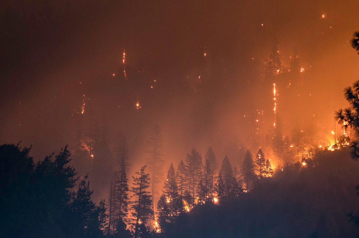 Paradise Camp Fire-Toxic To Everyone!