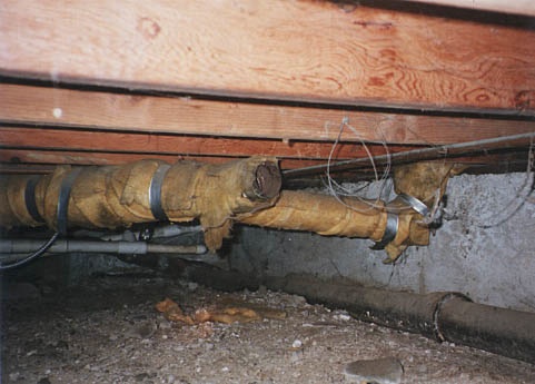 Crawlspace, the filthiest place in your home