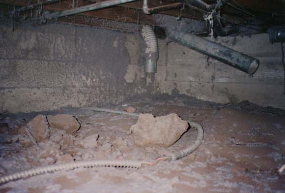 Crawlspace, the filthiest place in your home