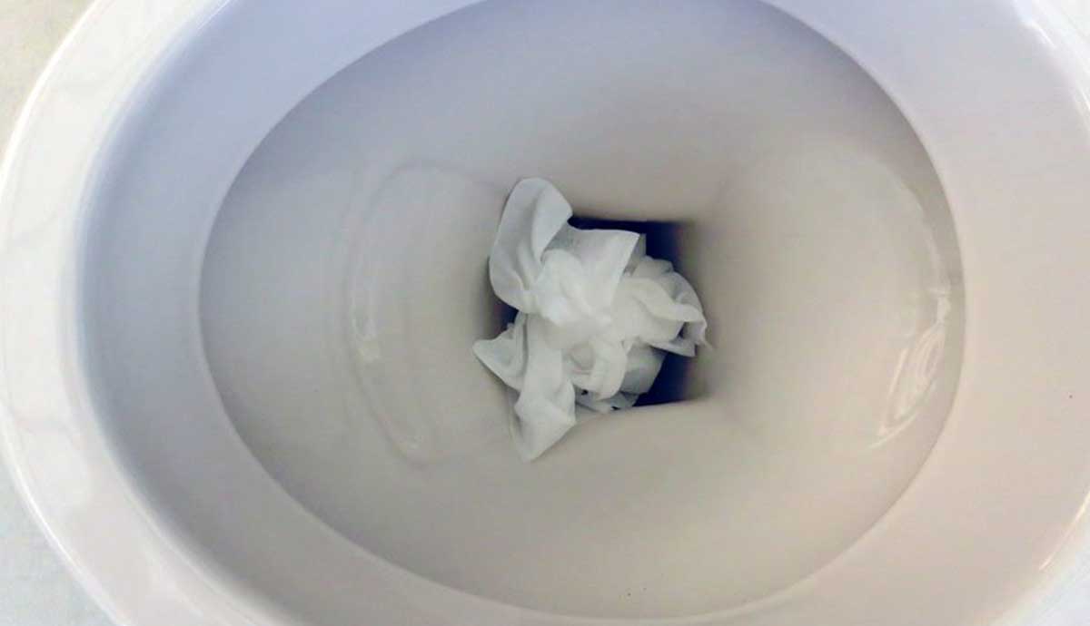 Disinfecting sheets are helping keep us safe from Coronavirus, but do NOT flush them down the toilet!