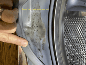 Washing machine mold